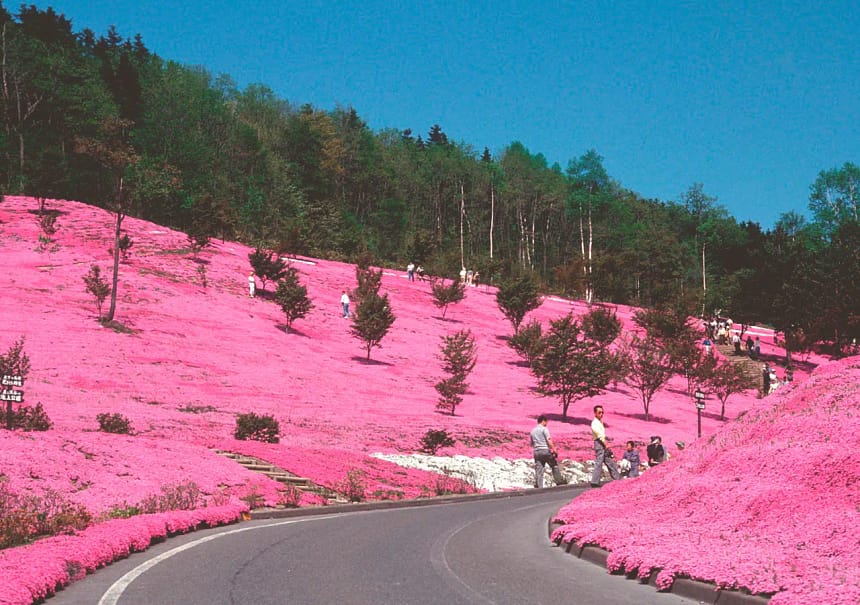 Hokkaido, Japón